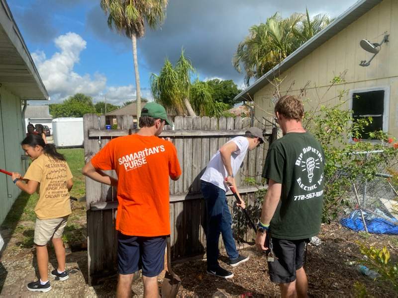 More painting and landscaping